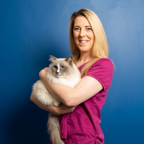 Hannah Just Cats