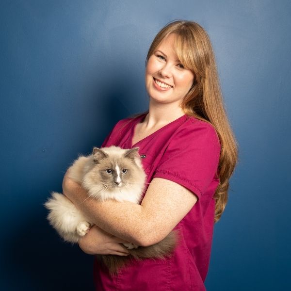Roisin Just Cats