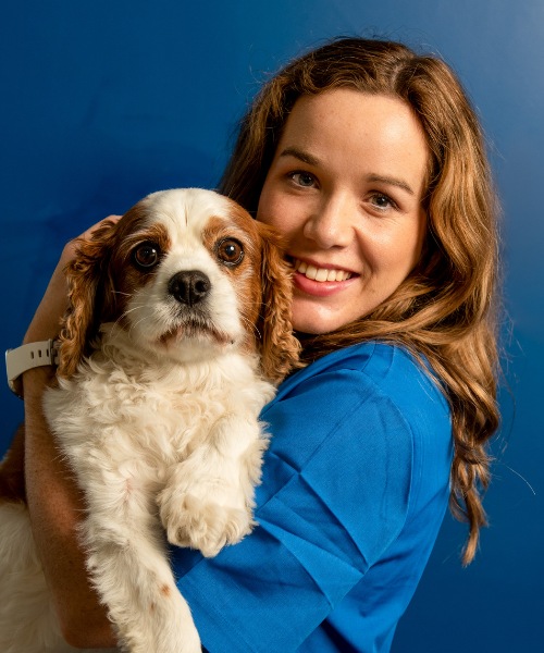 getting a new dog