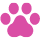 cat paw