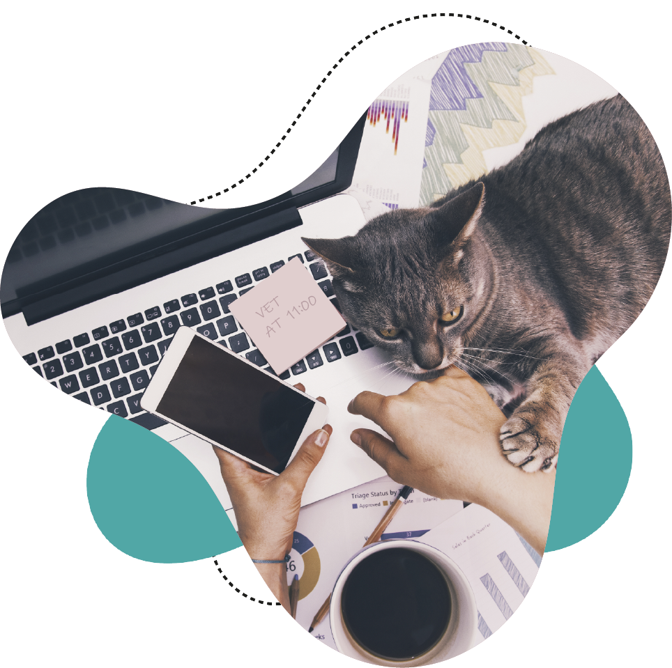 CAT AND OWNER WORKING FROM HOME