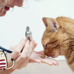 scruff free cat clinic