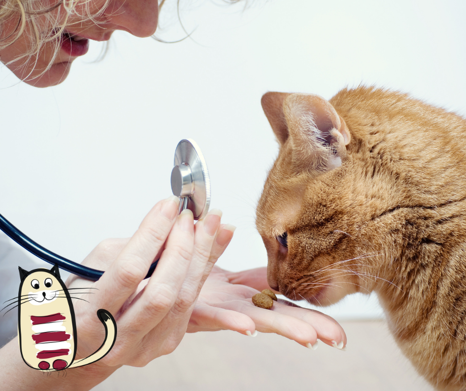 scruff free cat clinic