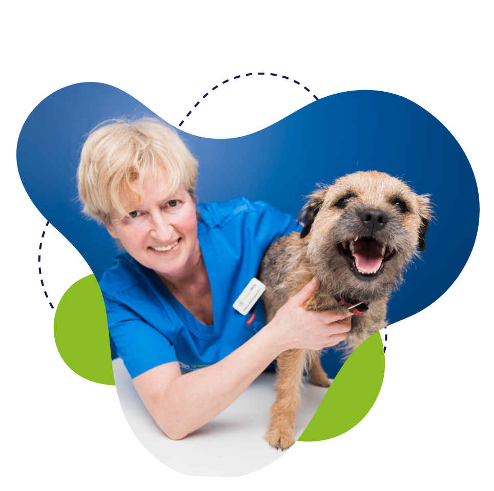 Frieda Village Vets dunshaughlin