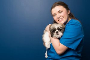 Hannah Kinsella Veterinary Nurse Village Vets