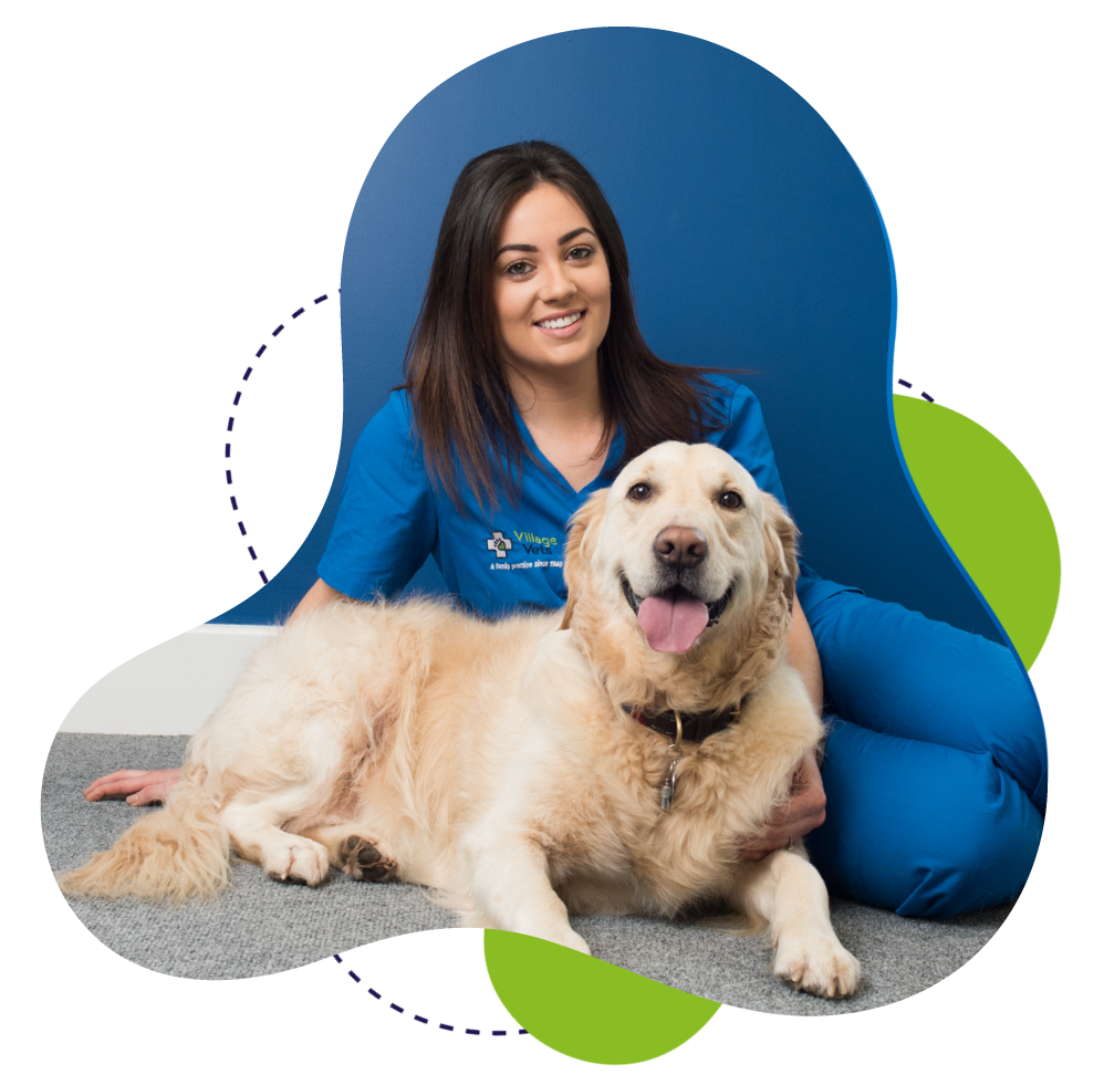 Vicky Darcy Village Vets Ashbourne